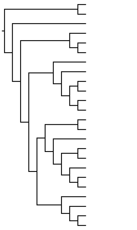 Teleosts tree of life